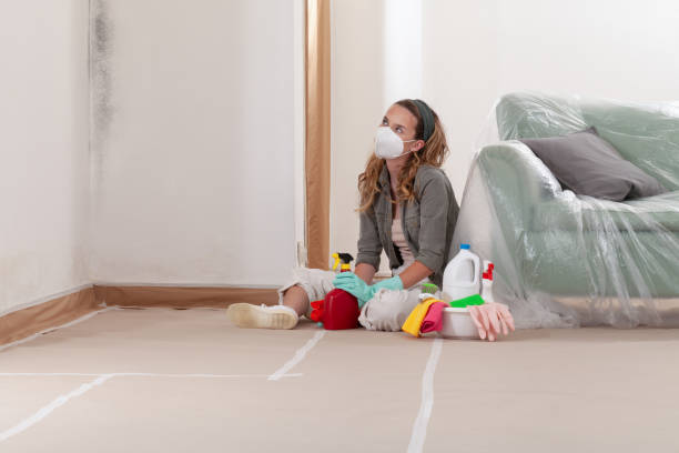 Reliable Mold Cleanup contractor in Peabody, MA by WQB Mold Removal